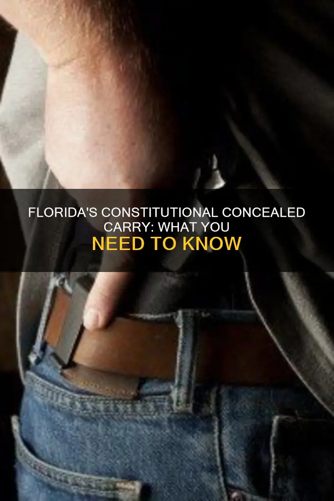does florida have constitutional concealed carry