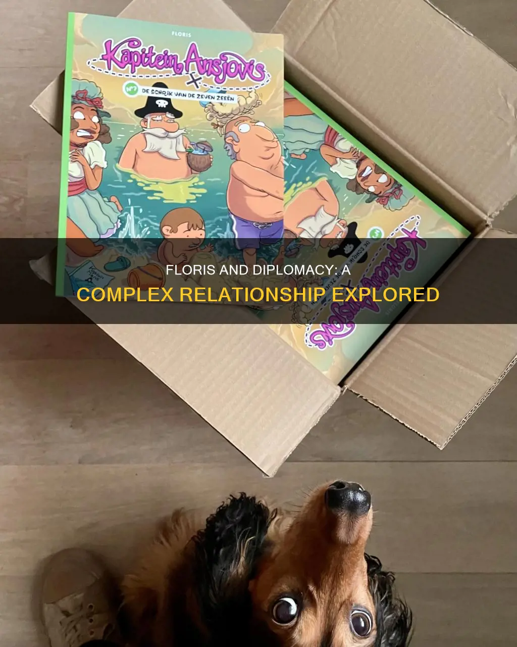 does floris have diplomacy