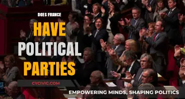 Exploring France's Political Landscape: Do Parties Shape Its Democracy?