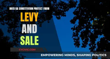 Georgia's Constitution: Protection from Levy and Sale?