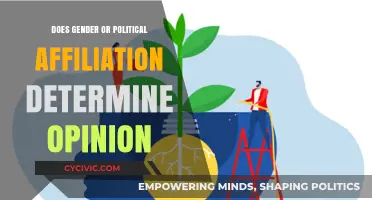 Beyond Demographics: Unraveling the Complex Threads of Opinion Formation