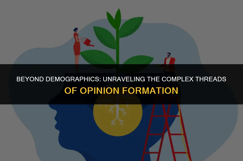 does gender or political affiliation determine opinion