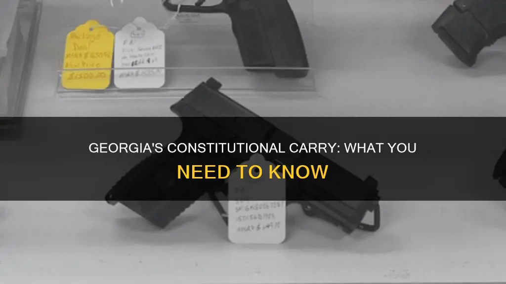 does georgia have constitutional carry