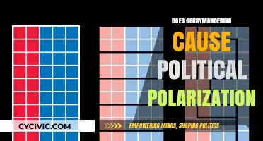 Gerrymandering's Impact: Fueling Political Polarization or Fair Representation?
