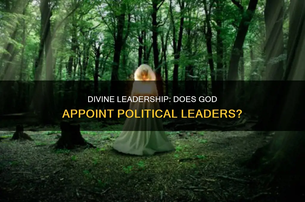 does god appoint political leaders