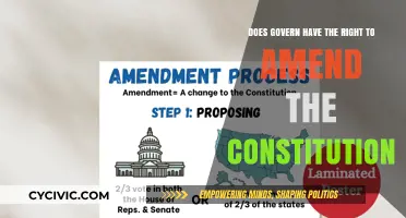 Governments' Right to Amend the Constitution