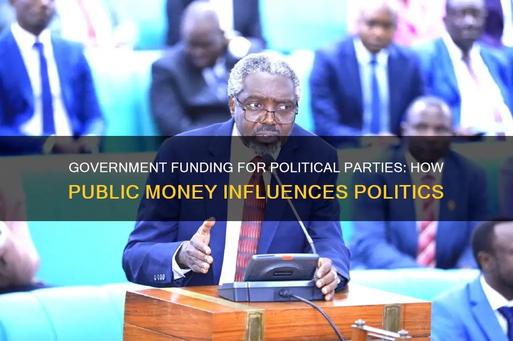 does government give money to political parties