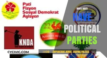 Exploring Haiti's Political Landscape: Do Formal Parties Exist and Function?