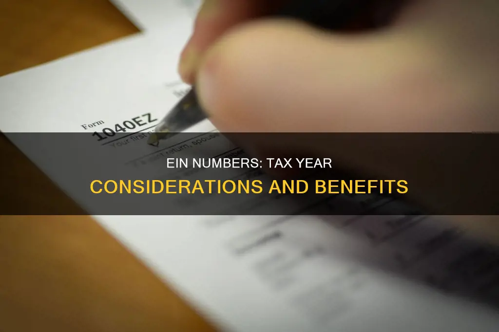 does having an ein number constitute the tax year