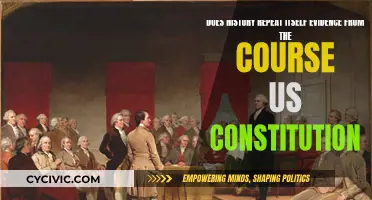 History Repeating: US Constitution Course Evidence