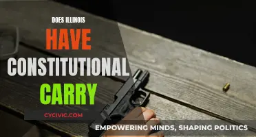 Illinois Constitutional Carry: What's the Law?