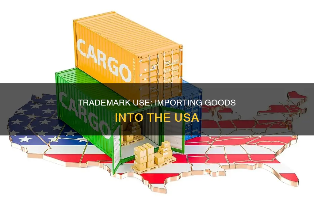 does import into usa constitute use of trademark