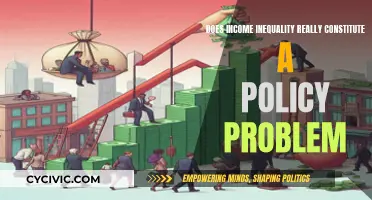 Income Inequality: Policy Problem or Inevitable Reality?