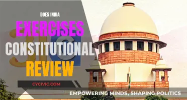India's Constitutional Review: Exercising Democracy's Vital Check