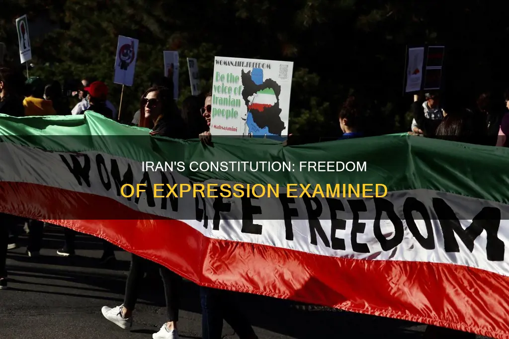 does iran mention freedom of expression in their constitution