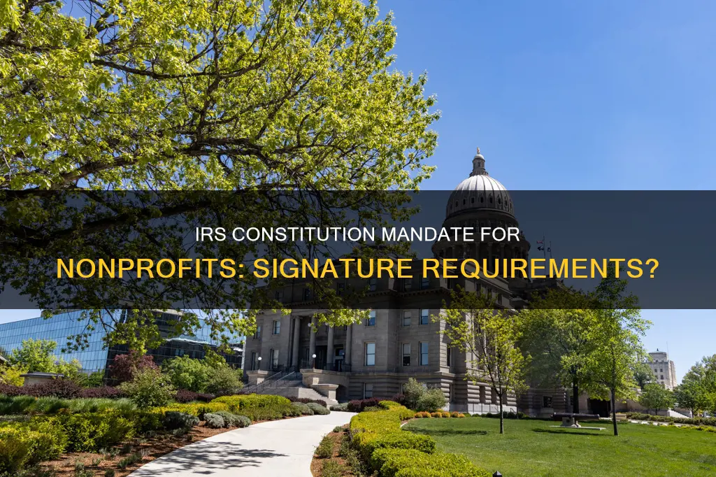 does irs require constitution for nonprofit be signed