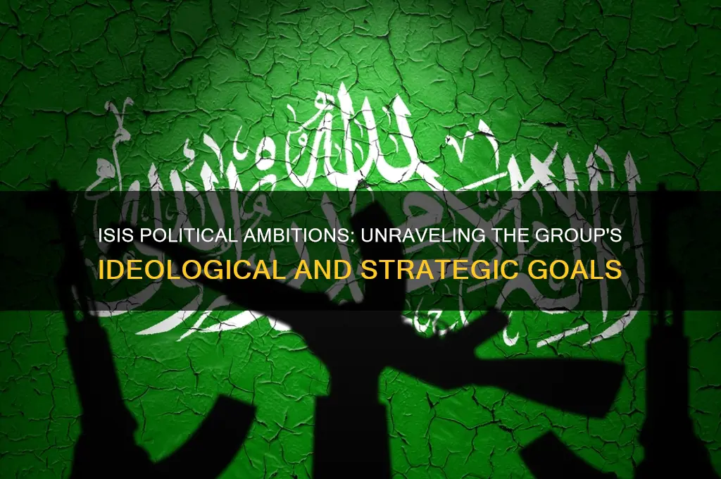 does isis have political goals