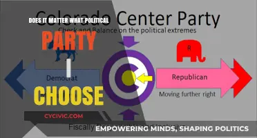 Choosing a Political Party: Does Your Decision Truly Matter?