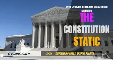 Judicial Restraint vs Activism: Interpreting a Static Constitution