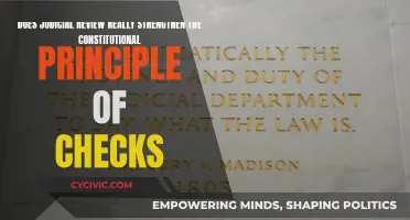 Judicial Review: A Constitutional Check or a Weak Link?