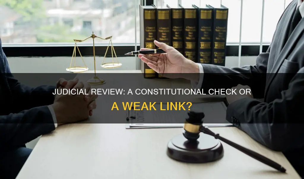 does judicial review really strengthen the constitutional principle of checks