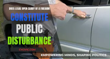 Open Carry: Public Disturbance or Legal Right?