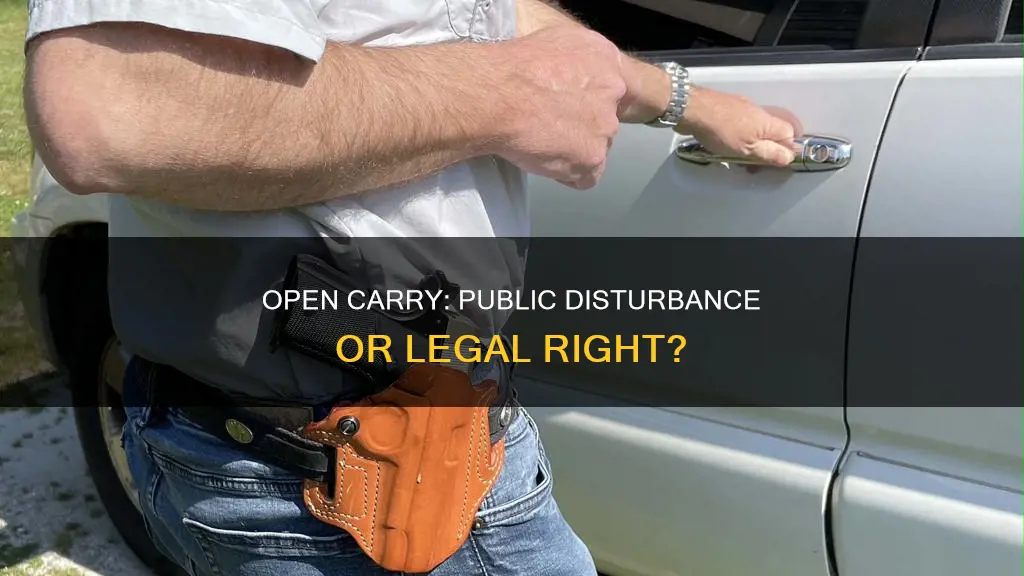 does legal open carry of a firearm constitute public disturbance