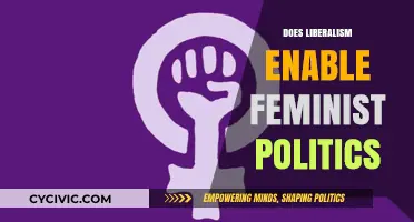 Liberalism and Feminism: Allies or Adversaries in Political Progress?