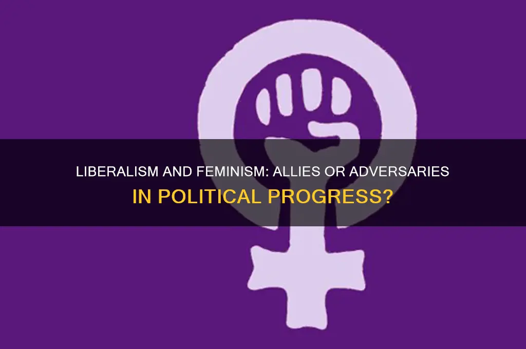 does liberalism enable feminist politics
