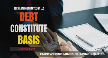 LLC Loan Guarantees: Basis and Debt Considerations