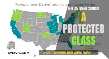 Understanding Protected Classes: Low Income Classification Explored
