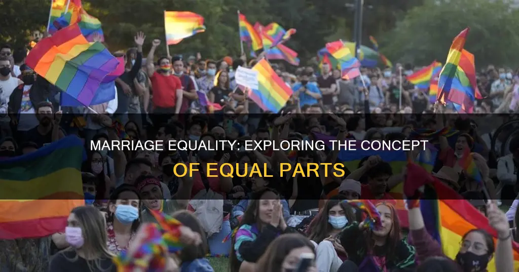 does marriage constitute equal parts