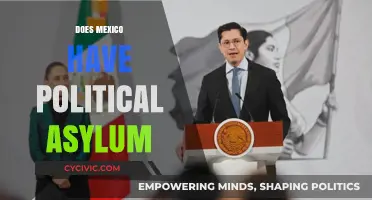 Mexico's Political Asylum Policies: A Comprehensive Guide for Seekers