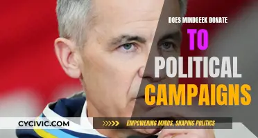 Mindgeek's Political Donations: Campaigns and Controversy