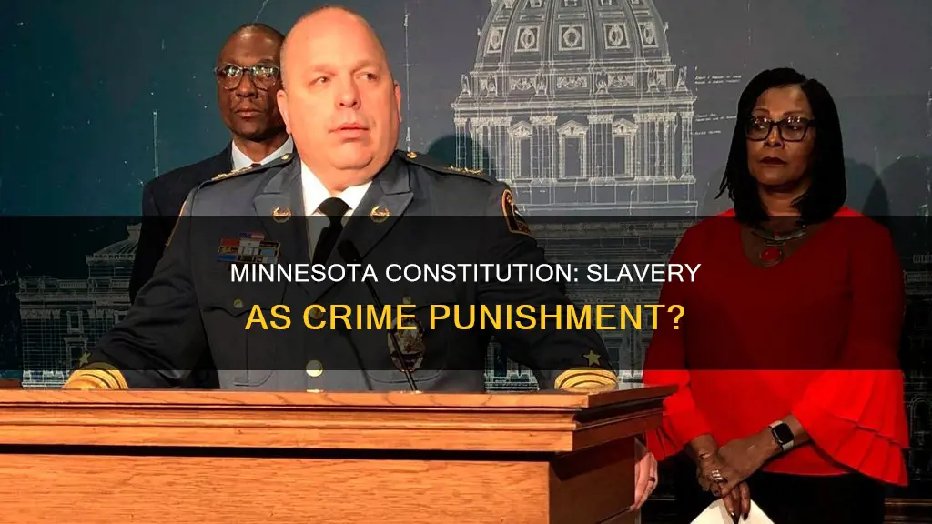 does minnesota constitution allow slavery as punishment for crime