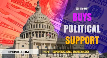 Does Money Buy Political Support? Exploring the Influence of Wealth