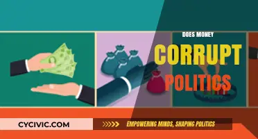Money's Influence: Does Wealth Undermine Political Integrity and Democracy?