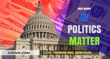 Does Money in Politics Matter? Exploring Influence and Democracy