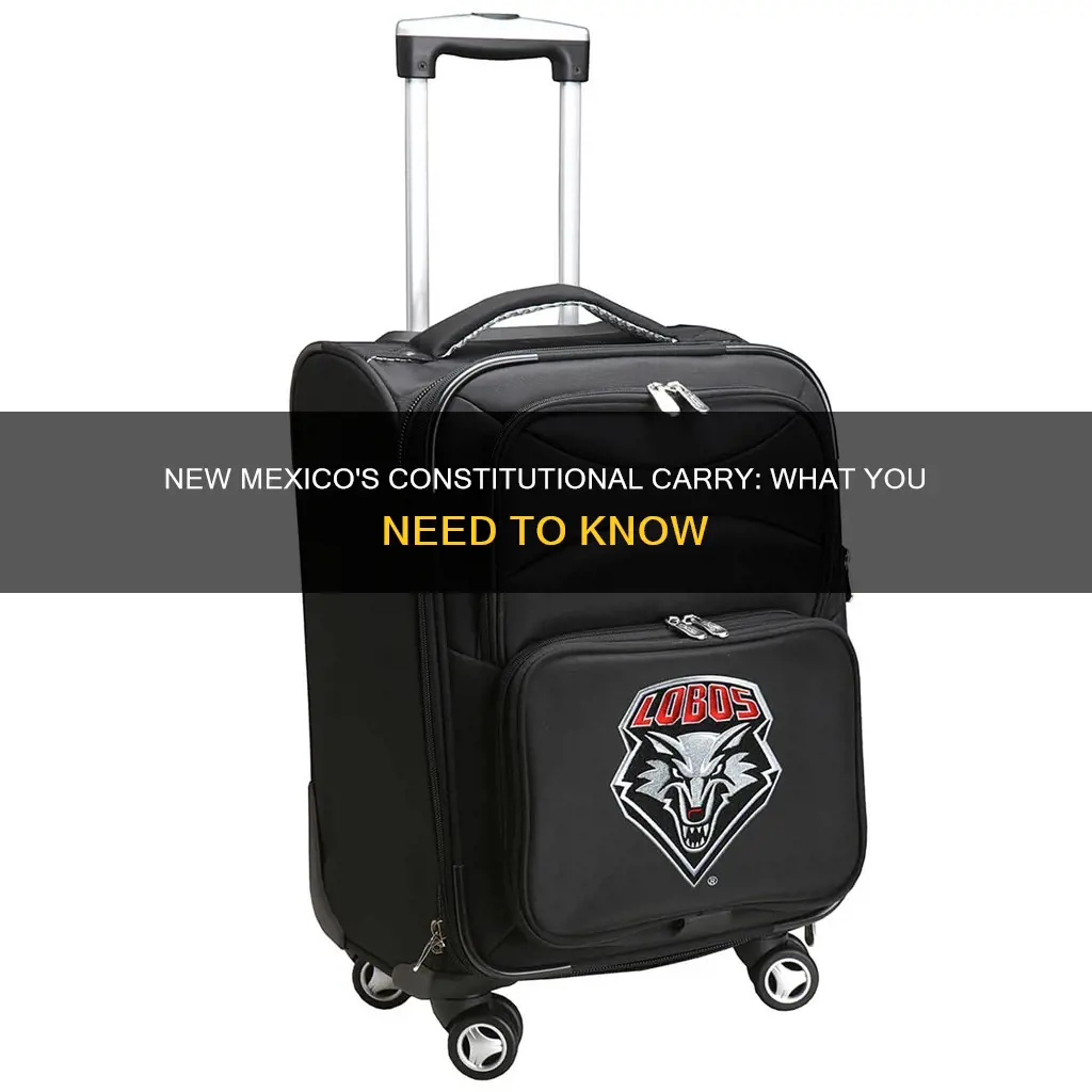 does new mexico have constitutional carry