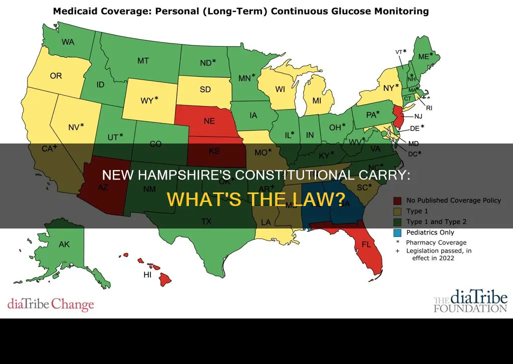 does nh have constitutional carry