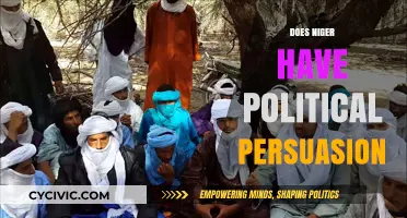 Exploring Political Persuasion in Niger: Dynamics, Influences, and Societal Impact