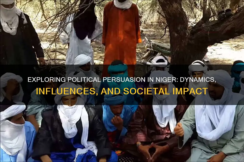 does niger have political persuasion
