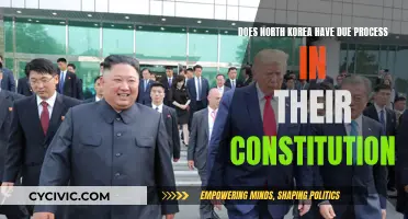 Due Process in North Korea: A Constitutional Mystery