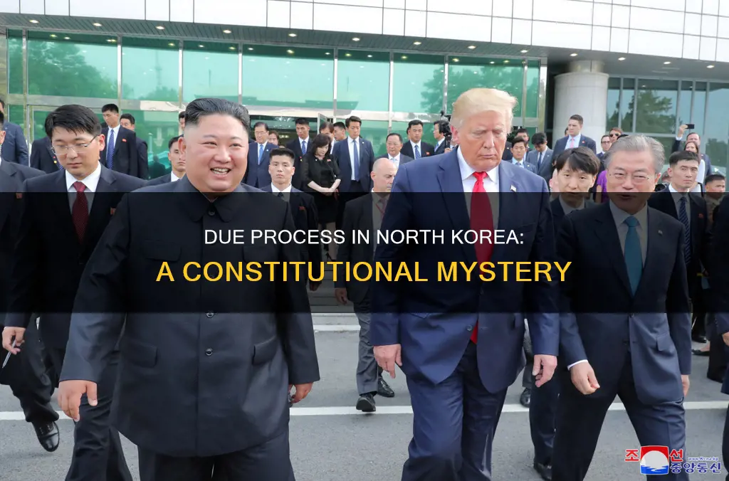does north korea have due process in their constitution
