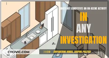 Investigative Scene: No Activity Required