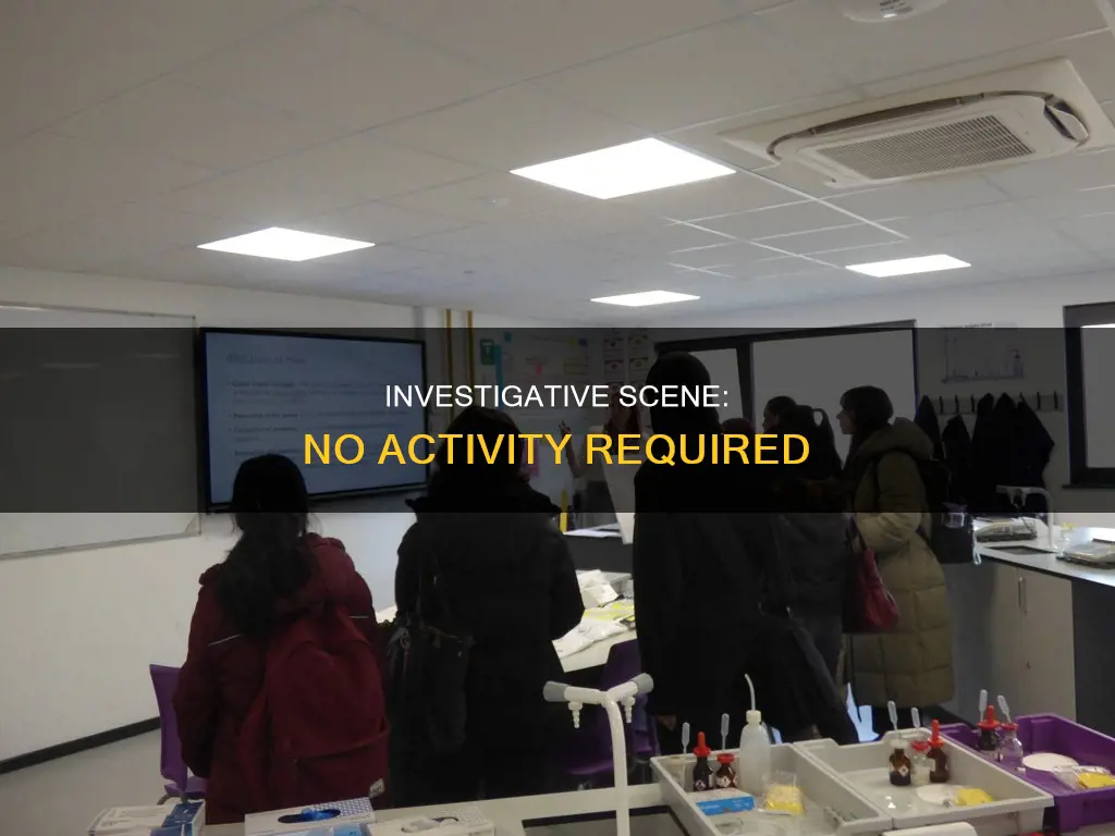 does not constitute an on-scene activity in any investigation