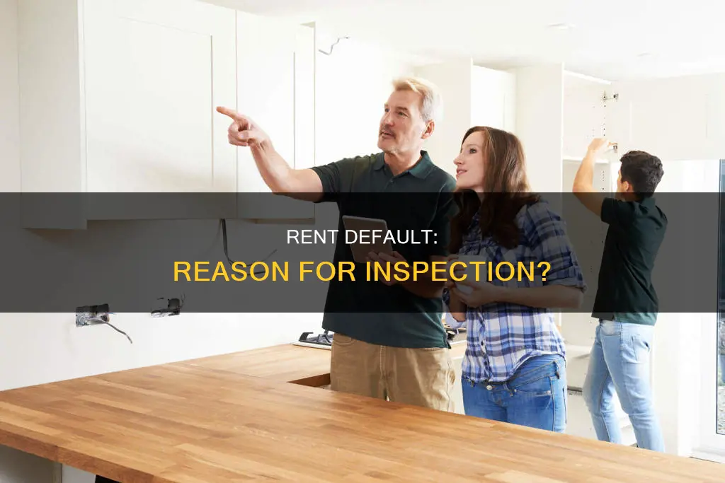 does not paying rent on time constitute reason to inspect