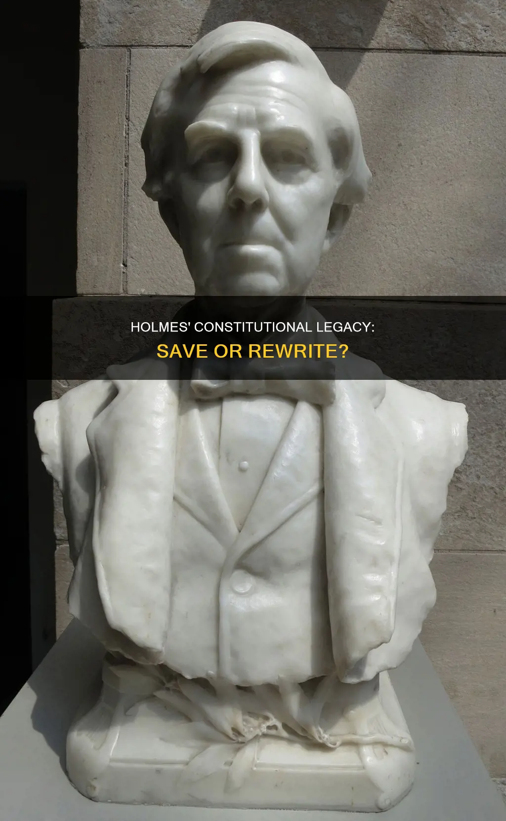 does oliver wendell holmes want the constitution to be saved