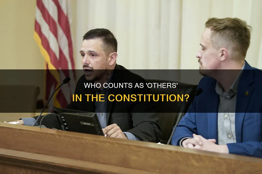 does other in the constitution include illegal immigrants