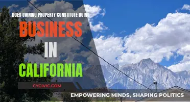 Property Ownership: Doing Business in California?
